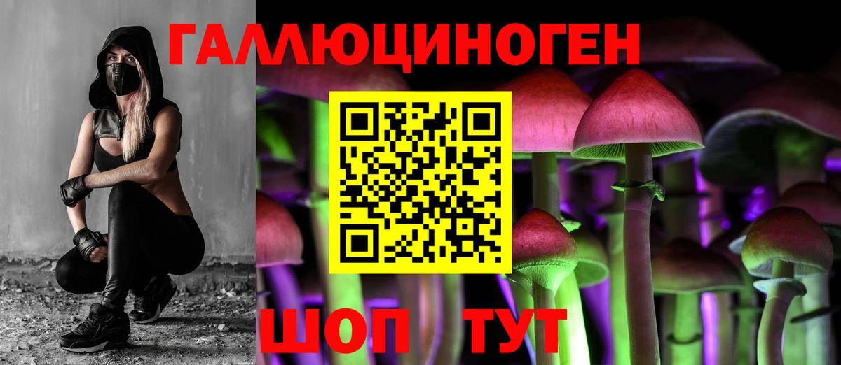 Галлюциногенные грибы MAGIC MUSHROOMS  продажа наркотиков  Михайловск  Вход с VPN 