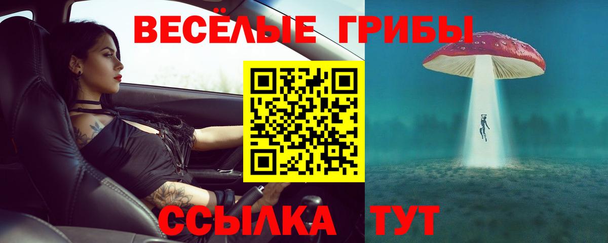 Галлюциногенные грибы ЛСД Михайловск
